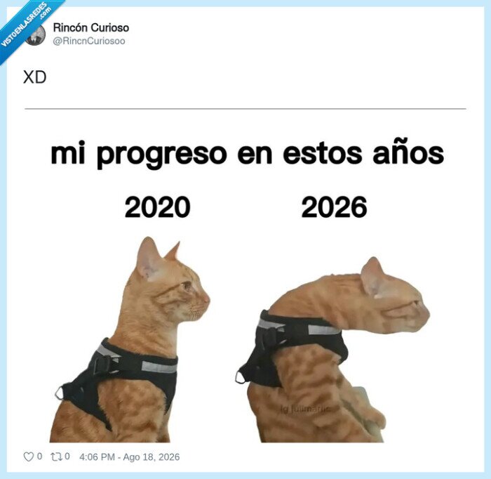 progreso,chepa