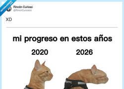 Enlace a De tener cuello a tener papada, por @RincnCuriosoo