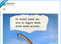Enlace a La jirafa tiene razón, pero me encanta que intente convencerme, por @MsCiencia2