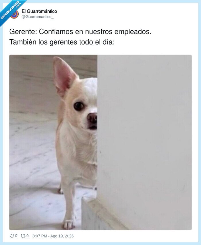 gerente,empleado,confianza,espiar,mascota