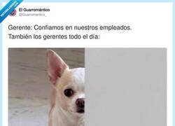Enlace a No te puedes fiar ni de tu sombra, por @Guarromantico_