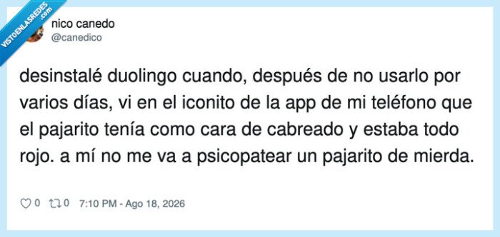 duolingo,pajarito,app,desinstalaci&oacute;n,psicopatear