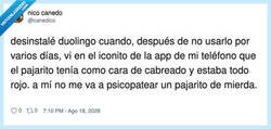 Enlace a Yo no me fío del búho ese, por @canedico