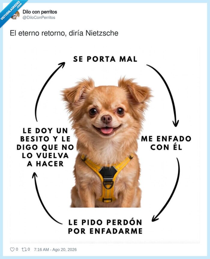 perro,ciclo,enfado,perd&oacute;n,eterno