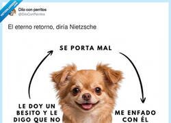 Enlace a El ciclo infinito del perrito que te manipula emocionalmente y tú cayendo como un paleto, por @DiloConPerritos