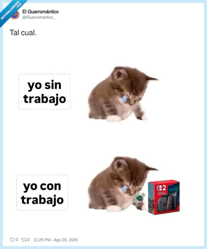gato,trabajo,consola,relajaci&oacute;n,lujos