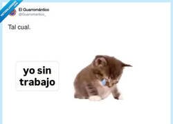 Enlace a La diferencia entre tener vida social y tener Nintendo Switch, por @Guarromantico_