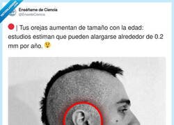 Enlace a O sea que no era que yo no escuchara… es que se me estaba ampliando la cobertura, por @EnsedeCiencia