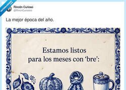 Enlace a Los cuatro meses en los que por fin tengo excusa para no salir de casa, por @RincnCuriosoo