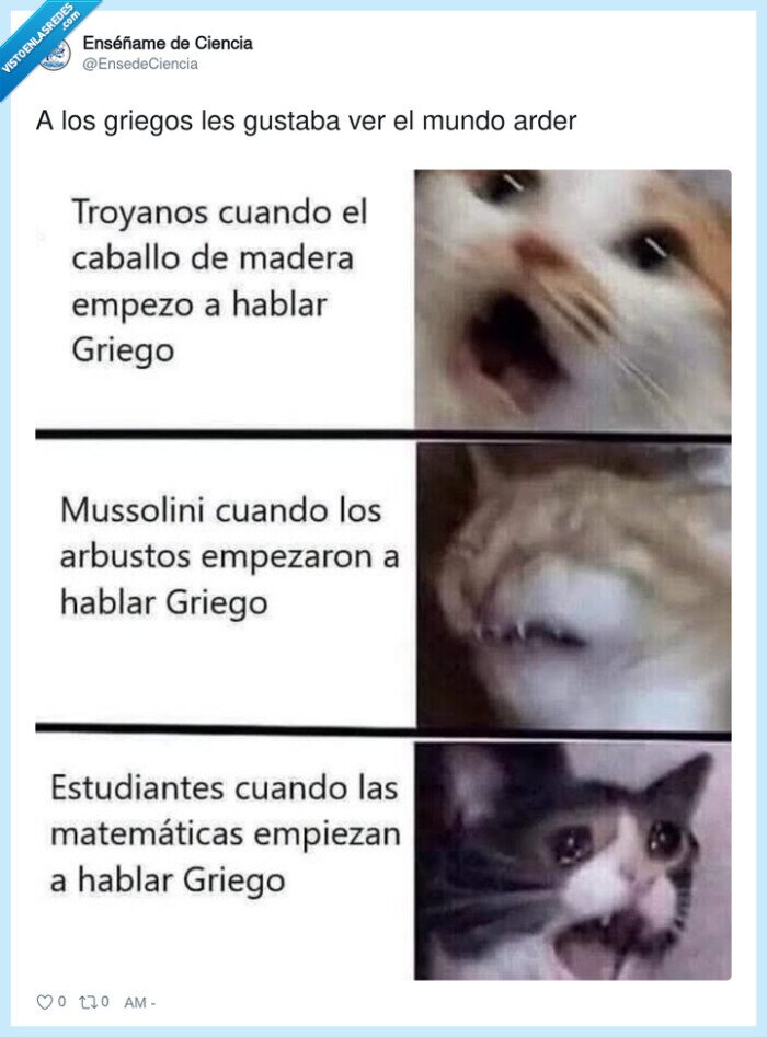 griego,estudiantes,matem&aacute;ticas,confusi&oacute;n,gatos