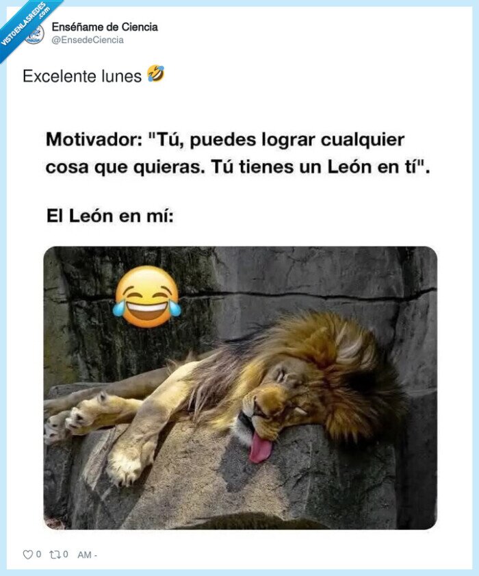 le&oacute;n,cansancio,motivaci&oacute;n,sue&ntilde;o,lunes