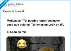 Enlace a Me ha tocado el león vago, por @EnsedeCiencia