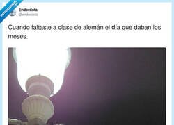 Enlace a Los alemanes cuando ven que el Oktoberfest empieza en agosto: 'esto es más fake que mi acento', por @endorcista