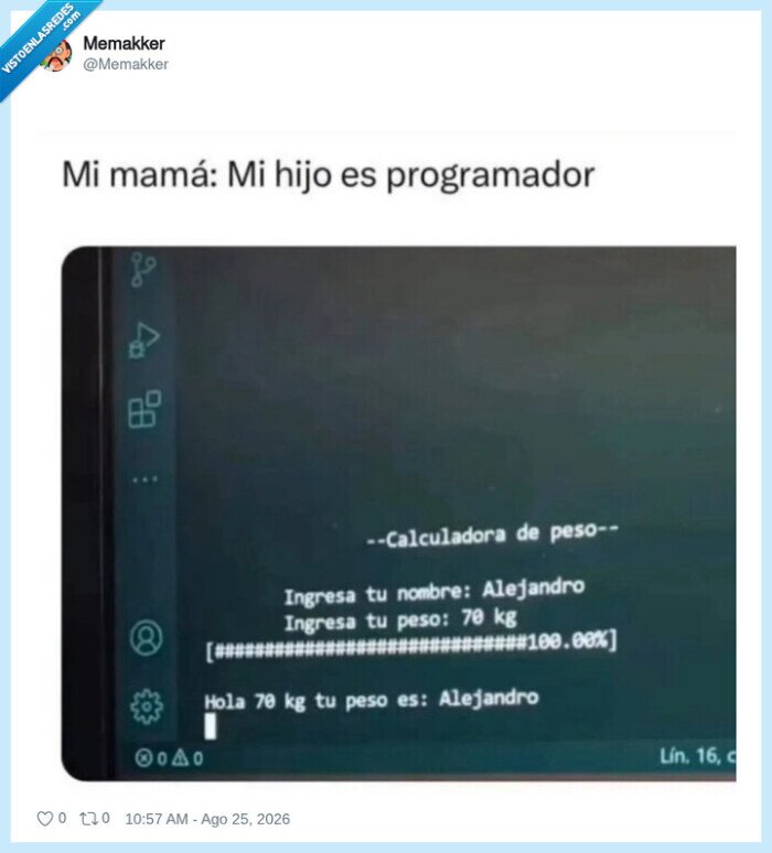 programador,error,c&oacute;digo,nombre,peso