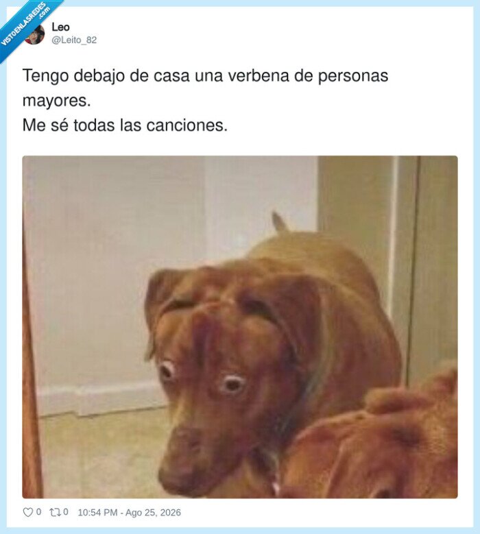 verbenas,personas mayores,canciones,perro,molesto