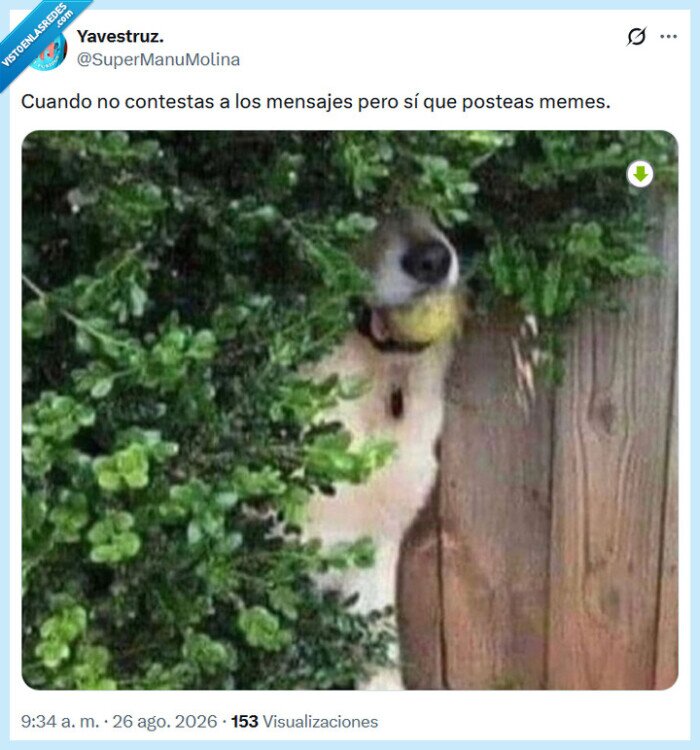 mensajes,memes,contestar