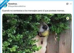 Enlace a Solo para lo que quiero por @supermanumolina