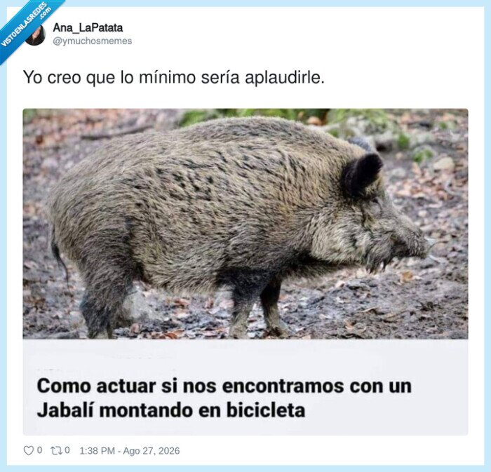 1753055 - El tío se lo ha currado mucho para llegar a ese nivel, por @ymuchosmemes