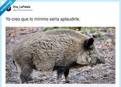 Enlace a El tío se lo ha currado mucho para llegar a ese nivel, por @ymuchosmemes