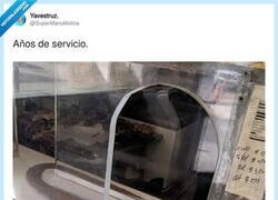 Enlace a Haciendo el mismo recorrido, por @SuperManuMolina