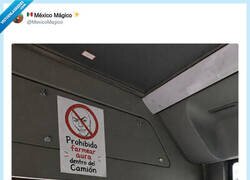 Enlace a Menos mal, por @MexicoMagico