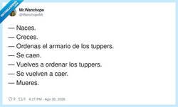 Enlace a El ciclo de la vida resumido en tuppers, por @WanchopeMr