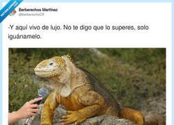 Enlace a No digo que lo superes, por @berberechoCR