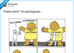 Enlace a Cuando le dices a tu colega que el fin de semana ya está aquí y aparece el lunes como un bicho de Stranger Things, por @xCesiox