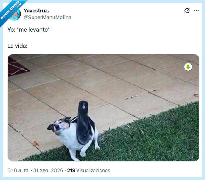 vida,levatanrse,lunes
