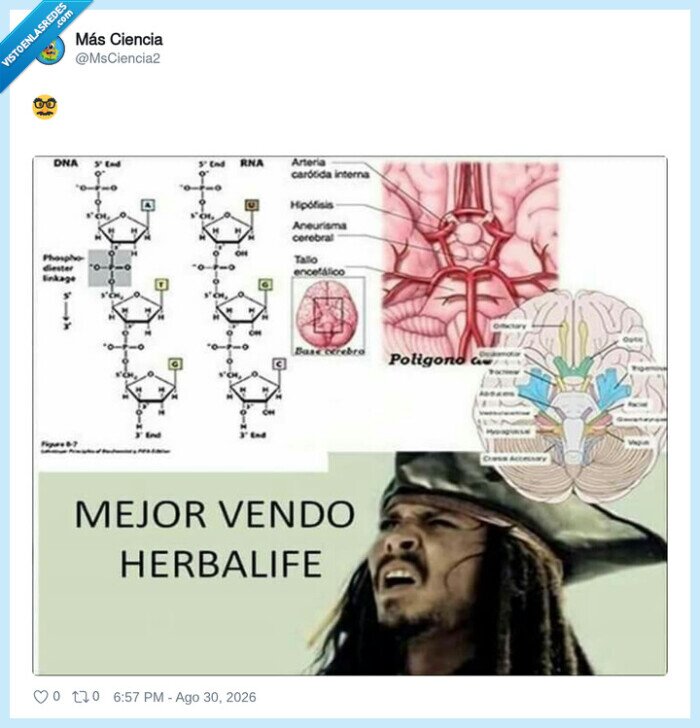 examen,biologia,anatomia,confusion,Herbalife