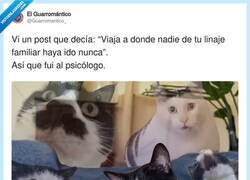 Enlace a Hubiera venido bien unas generaciones antes, por @Guarromantico_