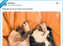 Enlace a Al unísono por @supermanumolina