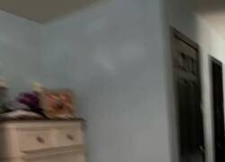 Enlace a Pues mira, una cosa más a arreglar en casa