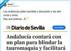 Enlace a Curas y toros, por @Ramn05497657