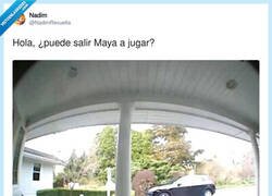 Enlace a Hola, ¿puede salir Maya a jugar?, por @NadimRevuelta