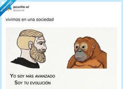 Enlace a Evolución mi cuIo, por @yisucrist