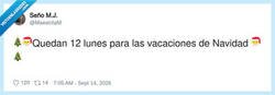 Enlace a Uy creo que me pilla el árbol sin decorar, por @MaestritaM