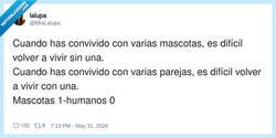 Enlace a Las mascotas son más leales que la gente, y eso duele, por @MrsLalupa