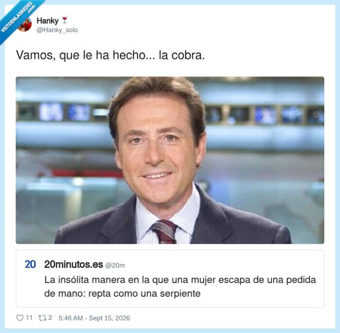 matrimonio,pedida,cobra,escape,serpiente
