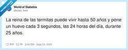 Enlace a Cómo lo hará para acordarse del nombre de todos sus hijos, por @stats_feed