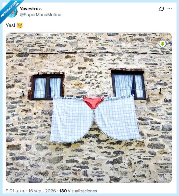 gato,ropa,tendedero
