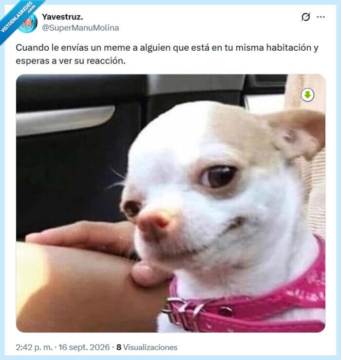 meme,enviar,habitaci&oacute;n