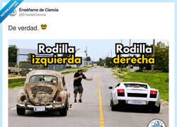 Enlace a Cuando llegas a cierta edad, por @EnsedeCiencia