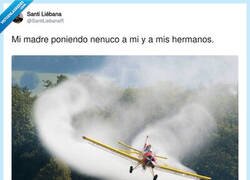 Enlace a Mi madre rociándonos a todos con el insecticida, por @SantiLiebanaR