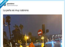 Enlace a Mala leche para pedir un glovo así, por @granotadesangre