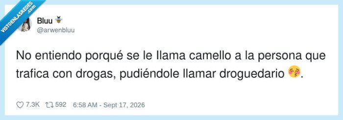 drogas,camello,juegosdepalabras,diccionario,calle