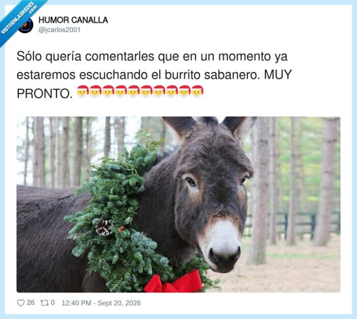 navidad,octubre,burrito,decoraci&oacute;n,adelanto