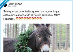 Enlace a Primero Halloween, ¿no?, por @jcarlos2001
