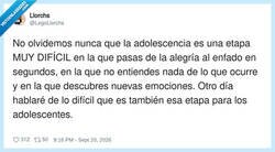 Enlace a La adolescencia es complicada