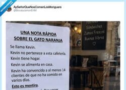 Enlace a Kevin: 'Esto es mentira y lo sabéis', por @BocataJamonEHM
